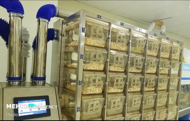 Razi institute launches SPF mice breeding system