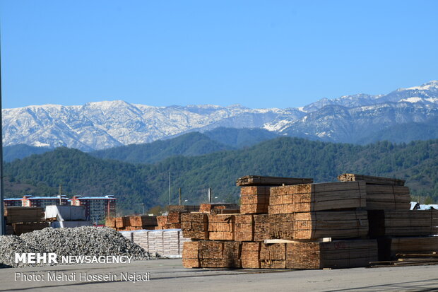 Goods loading, unloading in Astara port
