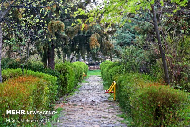 Spring flowers in Ardabil with breathtaking views