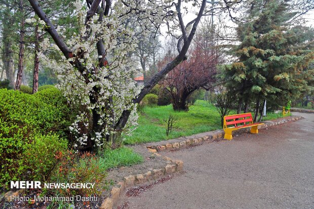 Spring flowers in Ardabil with breathtaking views