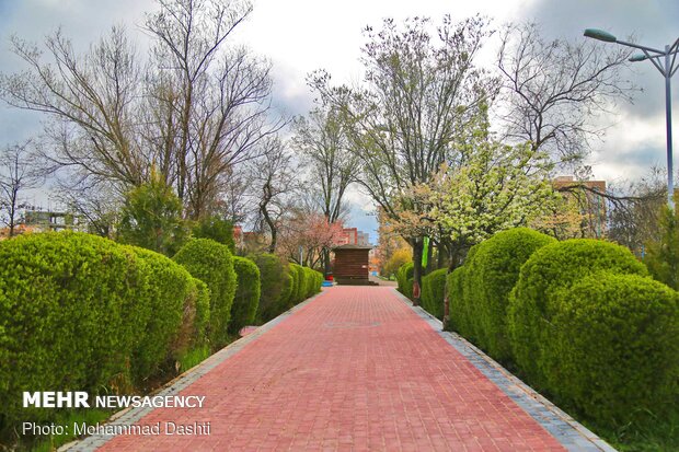 Spring flowers in Ardabil with breathtaking views