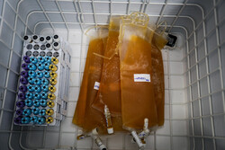Plasma therapy trials for COVID-19 patients in Iran