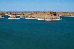 تلف شدن صدها قطعه پرنده در دریاچه جوان شهداد