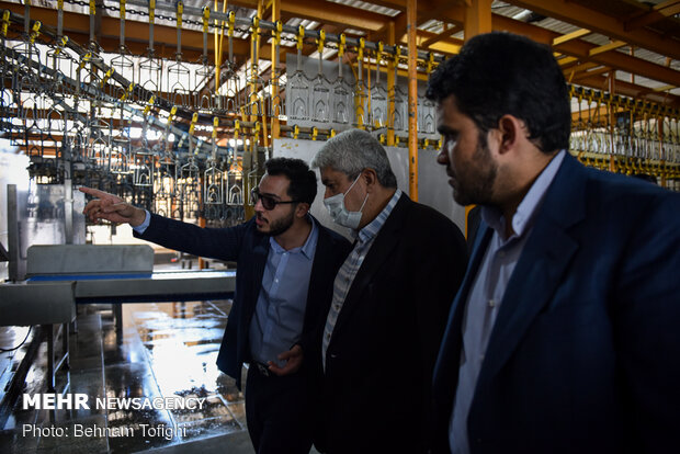 جای خالی مرغ