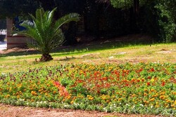 سلامت و تندرستی بهتر با گذران وقت در باغ و بوستان