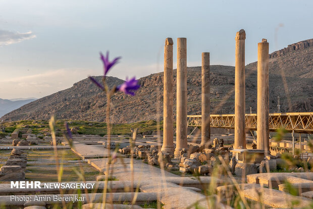 Persepolis, a world heritage site