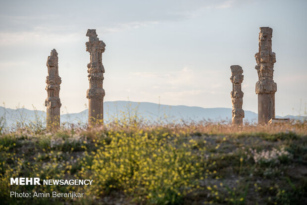 Persepolis, a world heritage site