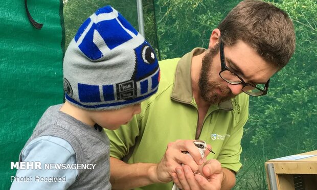 تصاویر منتخب حیات وحش هفته‎