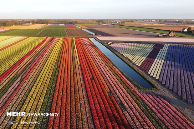 تصاویر منتخب حیات وحش هفته‎