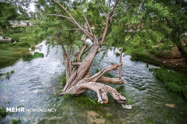 Historical Gharbalbiz Spring in Yazd