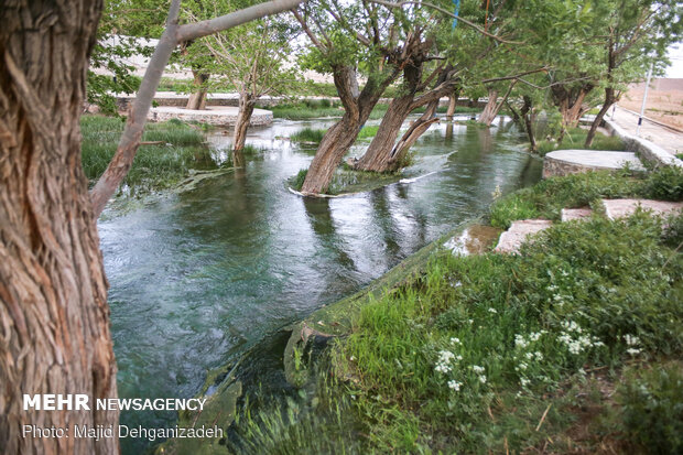 Historical Gharbalbiz Spring in Yazd