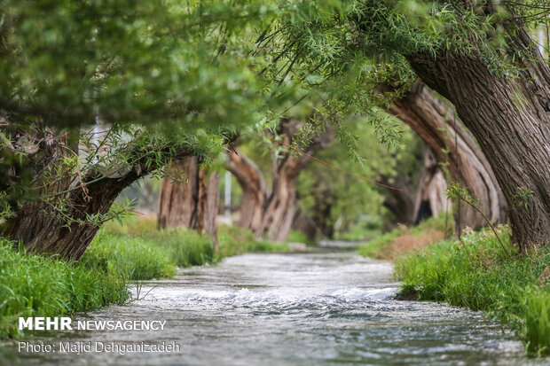 Historical Gharbalbiz Spring in Yazd