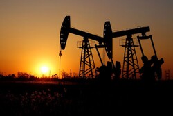قیمت نفت خام از سقوط بازگشت / برنت ۸۴ دلار