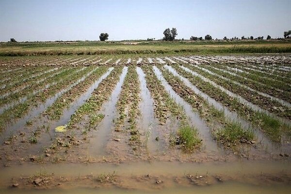 نوسانات آب و هوایی و بارشی کشاورزی خراسان شمالی را پرخطر کرده است