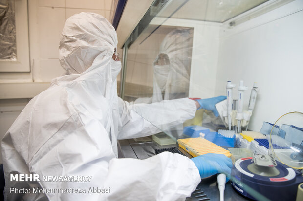 Research studies underway for coronavirus vaccine in Avicenna Research Institute
