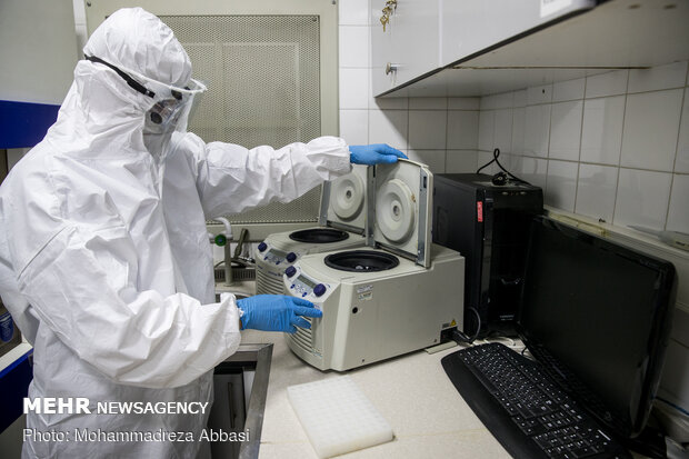 Research studies underway for coronavirus vaccine in Avicenna Research Institute
