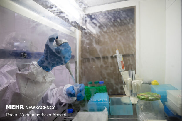 Research studies underway for coronavirus vaccine in Avicenna Research Institute
