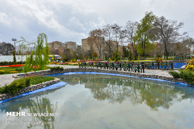 Mesmerizing tulip garden of Arak