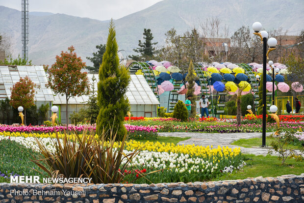 Mesmerizing tulip garden of Arak