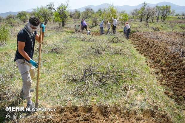 Preparing ground to produce better grapes