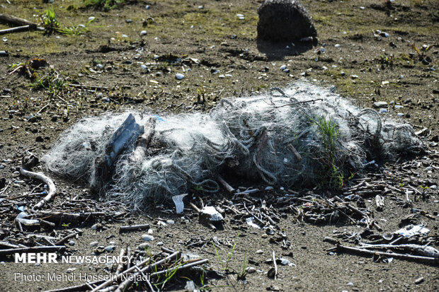 تورهای غیرمجاز ماهیگیری بلای جان ساحل آستارا