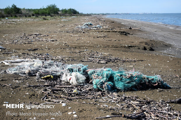 تورهای غیرمجاز ماهیگیری بلای جان ساحل آستارا