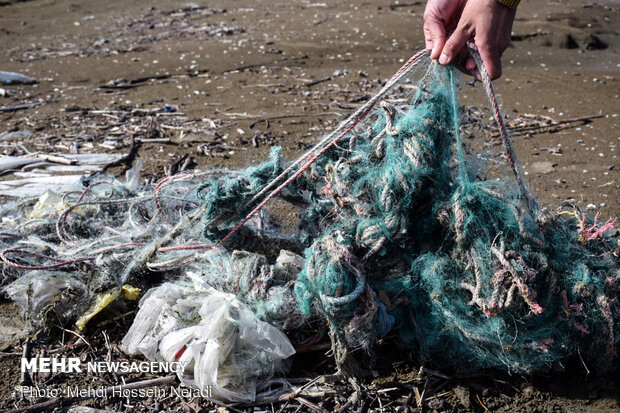 تورهای غیرمجاز ماهیگیری بلای جان ساحل آستارا