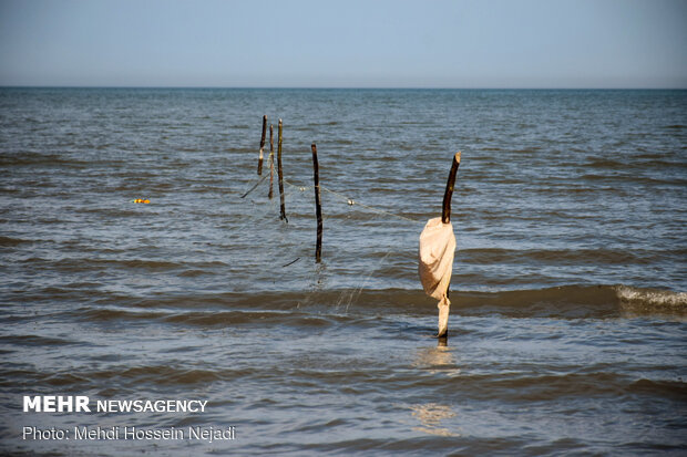 تورهای غیرمجاز ماهیگیری بلای جان ساحل آستارا