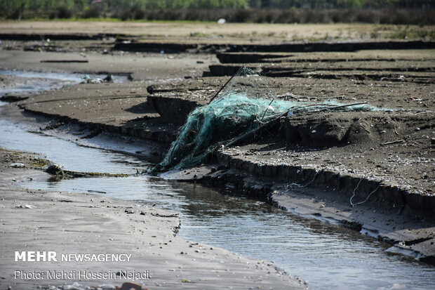 تورهای غیرمجاز ماهیگیری بلای جان ساحل آستارا
