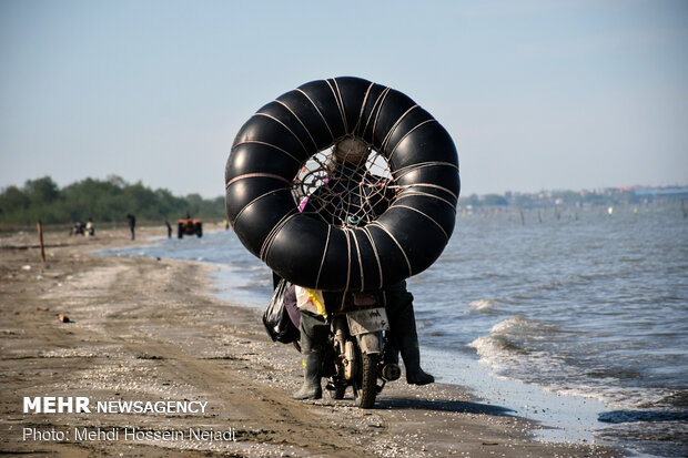 تورهای غیرمجاز ماهیگیری بلای جان ساحل آستارا