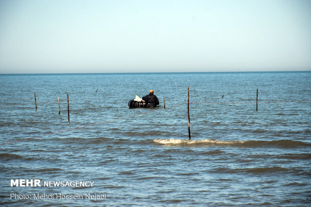 تورهای غیرمجاز ماهیگیری بلای جان ساحل آستارا