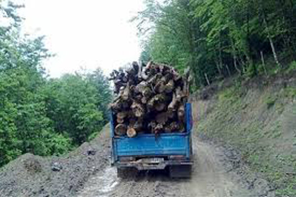 کشفیات قاچاق چوب آلات جنگلی در مازندران رشد یافت