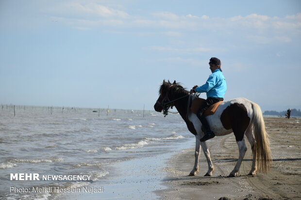 Horses enjoying Astara beaches