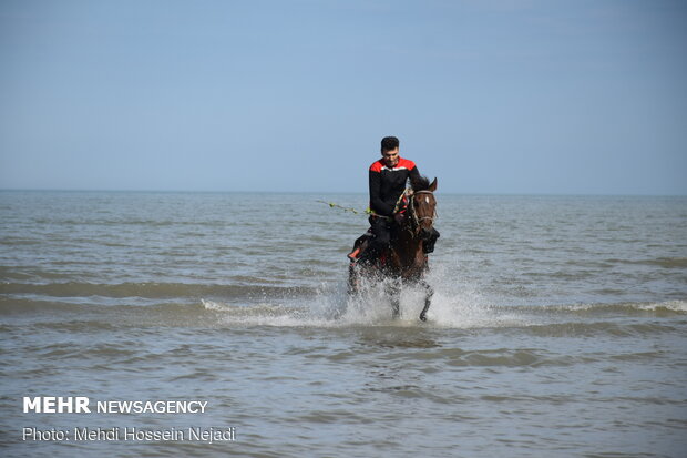 Horses enjoying Astara beaches