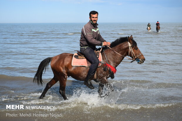Horses enjoying Astara beaches