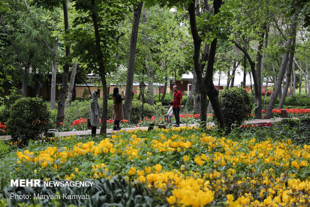 ‘Iranian Garden’ in Northern Tehran