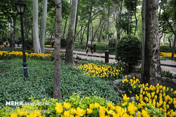 ‘Iranian Garden’ in Northern Tehran