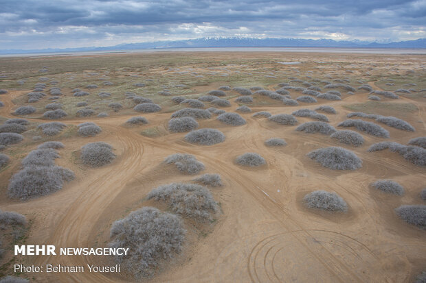 Meighan Wetland in Markazi province