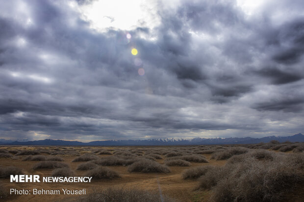 Meighan Wetland in Markazi province