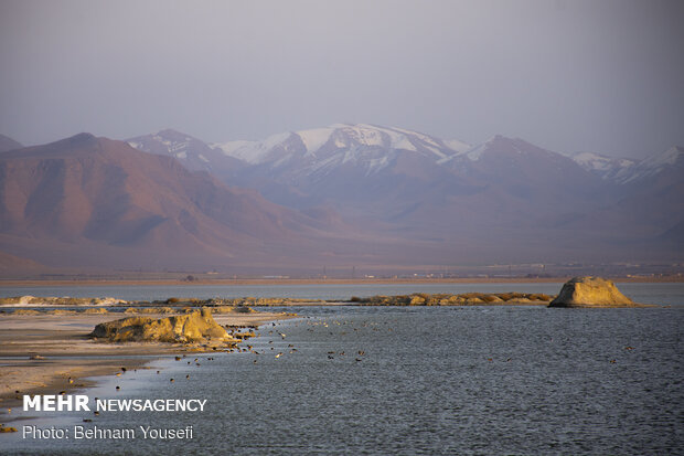 Meighan Wetland in Markazi province