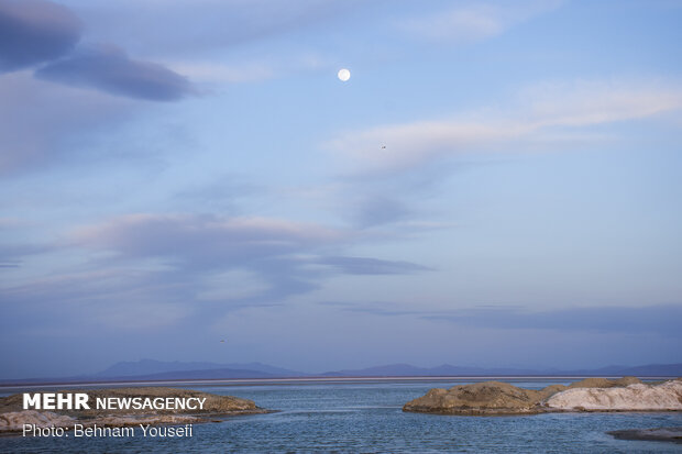 Meighan Wetland in Markazi province