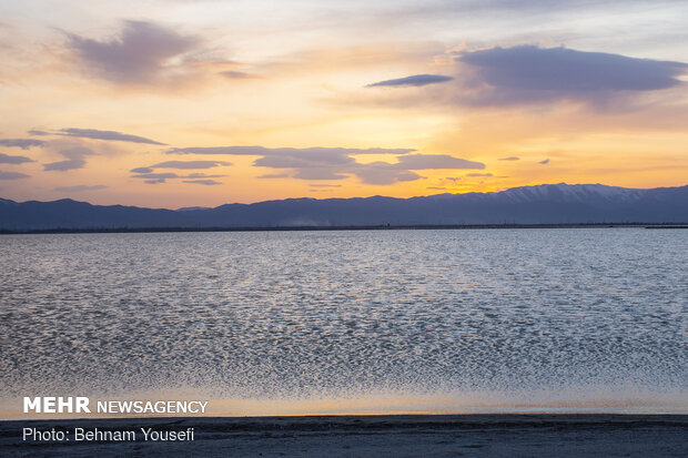 Meighan Wetland in Markazi province