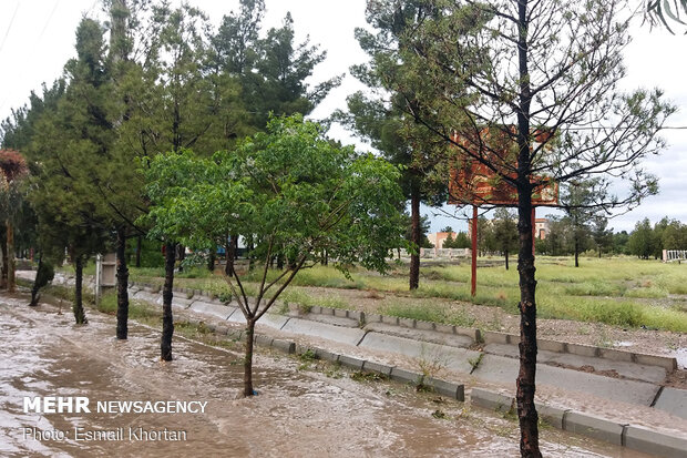 Heavy rainfall in Sirjan
