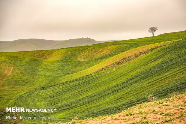 گوشه ای از بهشت خراسان شمالی