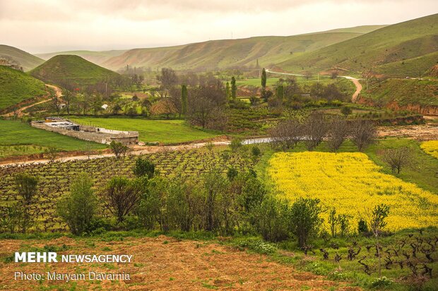 Kuzey Horasan'ın en güzel bahar fotoğrafları