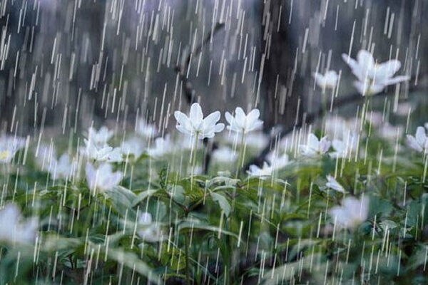 بارش باران در گیلان/ کاهش ۵ تا ۱۲ درجه‌ای دمای هوا