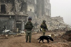 نیروهای ارتش سوریه دو هکتار از اراضی استان درعا را مین روبی کردند