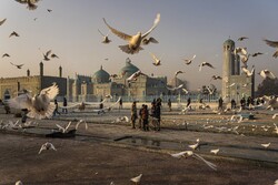 جریان زندگی در افغانستان