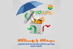 یک تیر و دو نشان کالای روستایی در قلب تهران