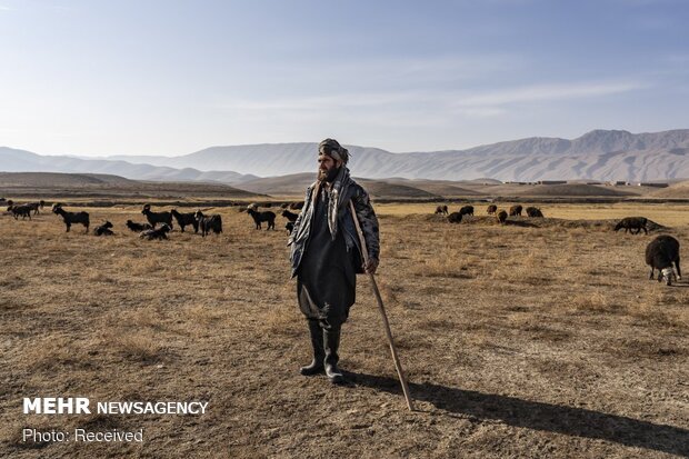 جریان زندگی در سایه جنگ و ناامنی در افغانستان